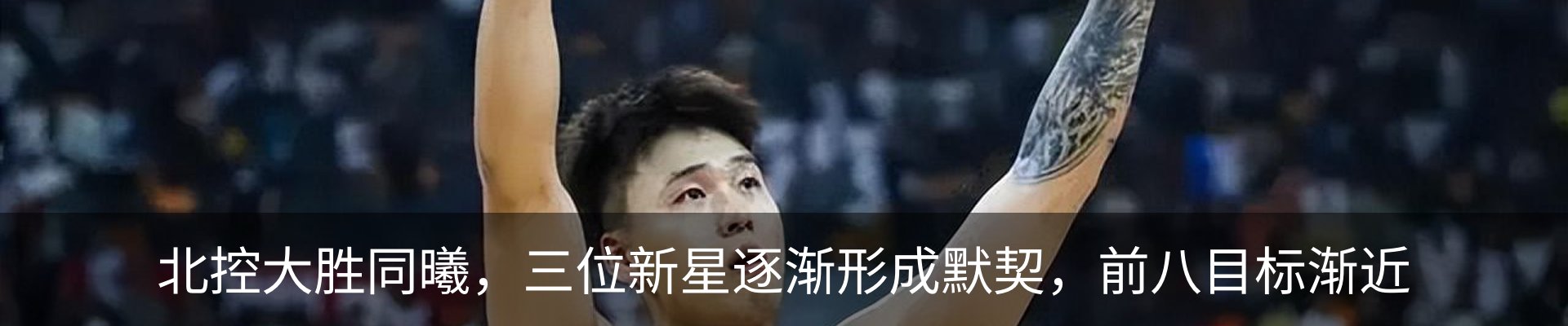 新闻动态